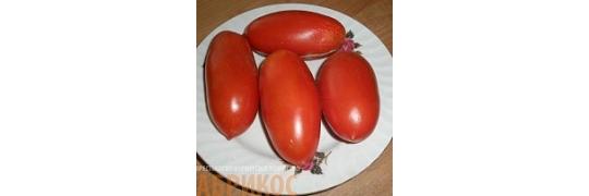 Фото 3 Семена томатов, г.Абакан 2016